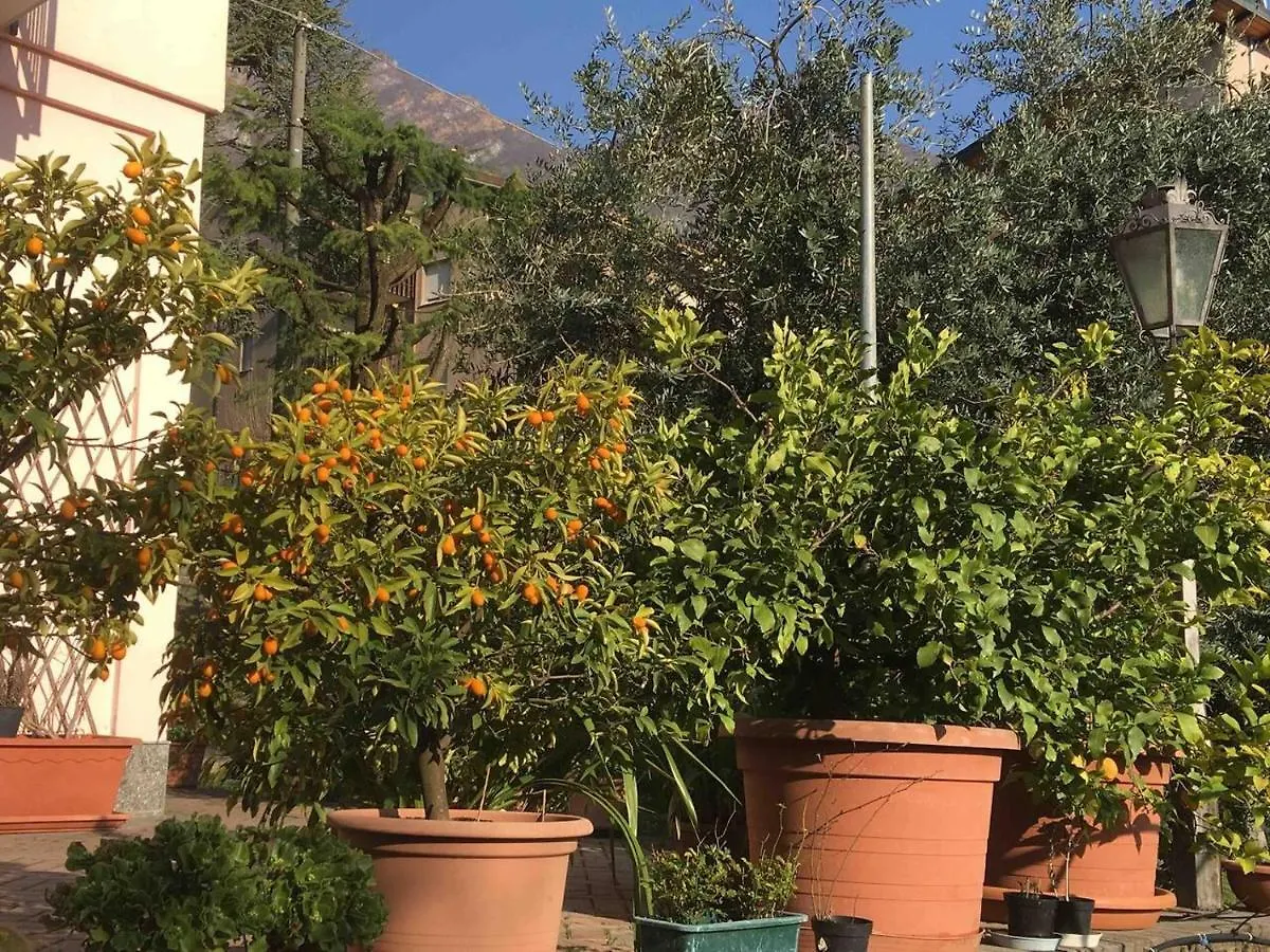 Appartamento La casa degli ulivi Lierna